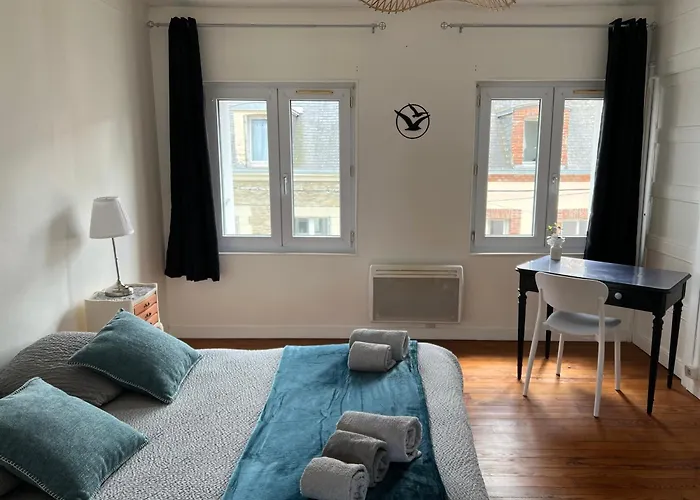 Apartment Douillet *